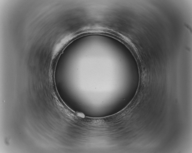 X0000100371464200806201616