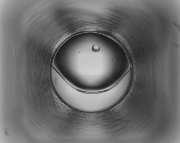 X0000100371465200806201616