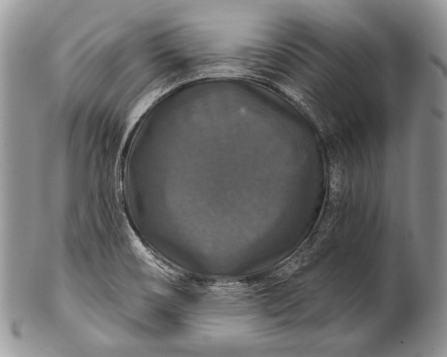 X0000100371466200806201616