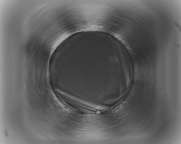 X0000100371469200806201616