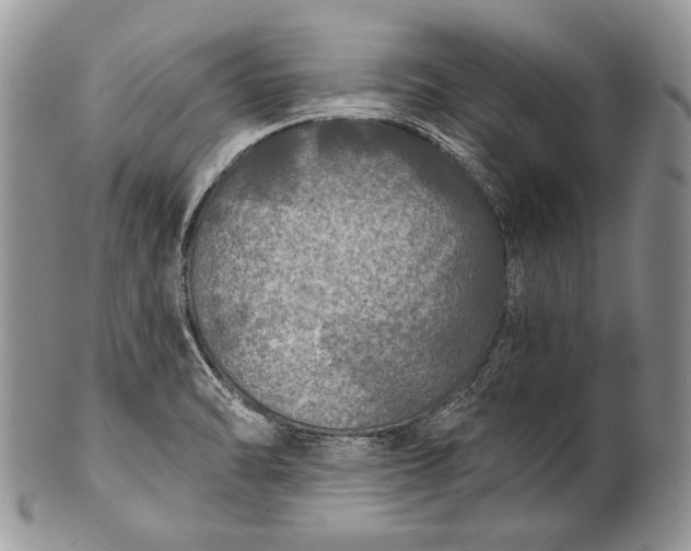 X0000100371470200806201616