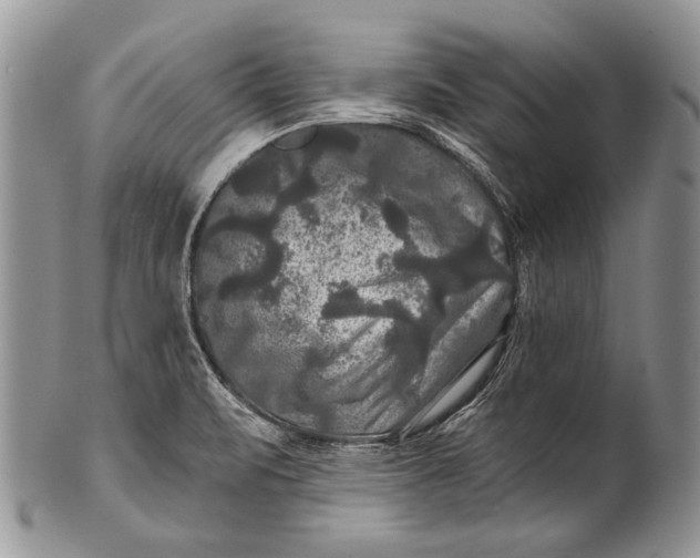 X0000100371471200806201616