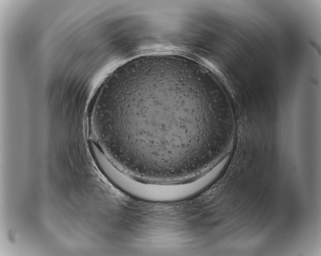 X0000100371472200806201616