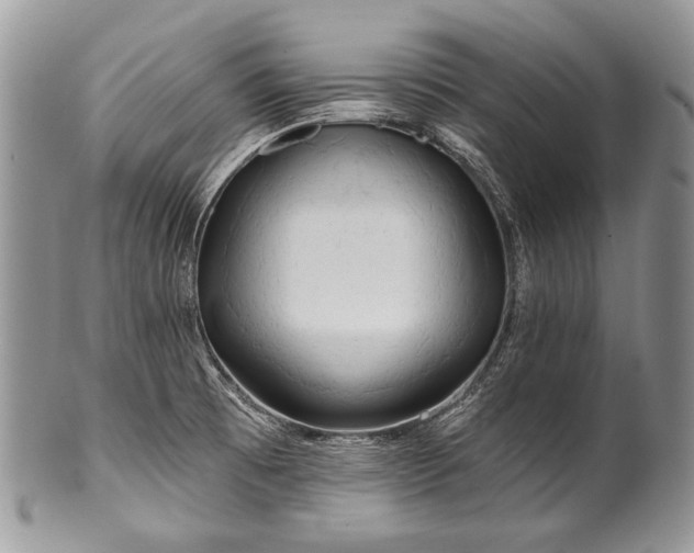 X0000100371473200806201616