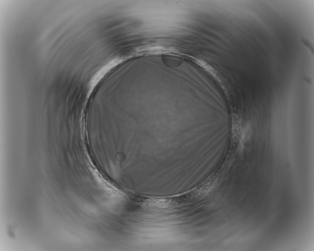 X0000100371474200806201616