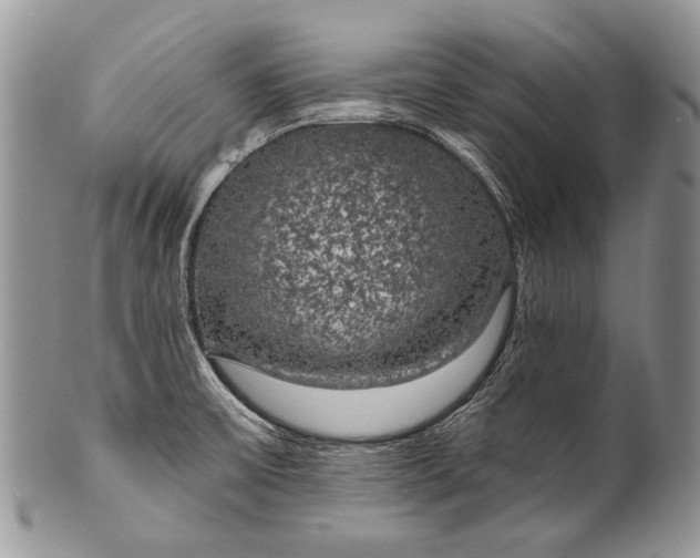 X0000100371475200806201616