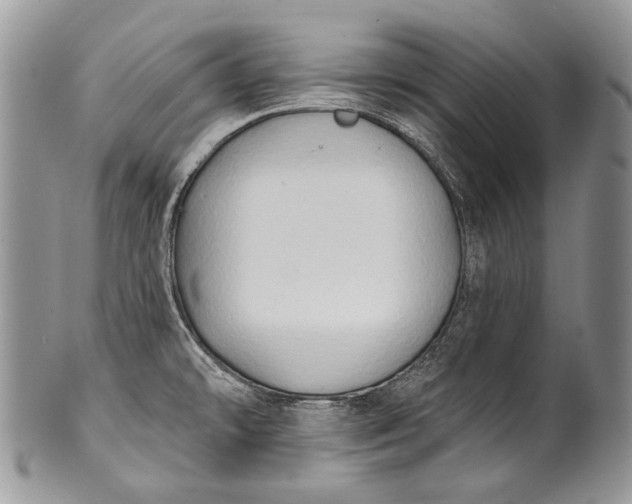 X0000100371478200806201616