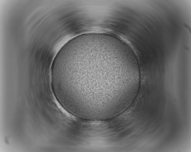 X0000100371479200806201616