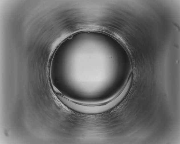 X0000100371480200806201616