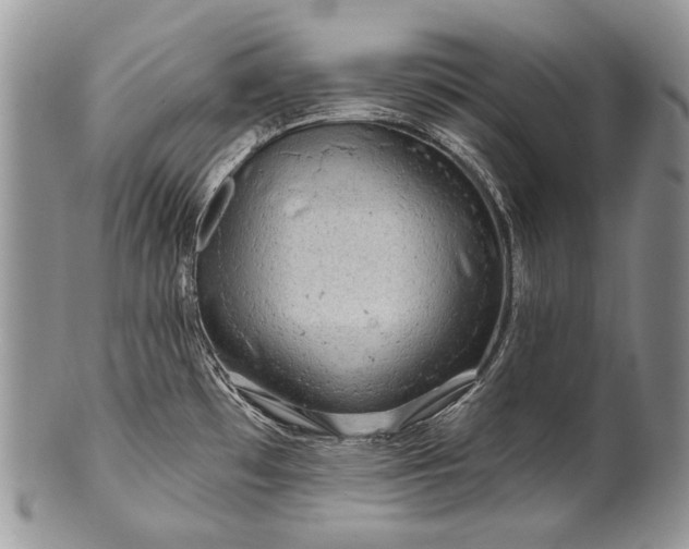 X0000100371481200806201616