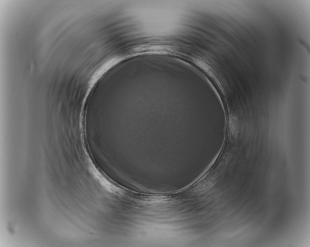 X0000100371482200806201616