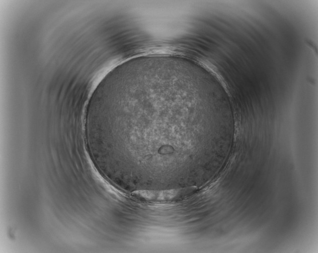 X0000100371483200806201616