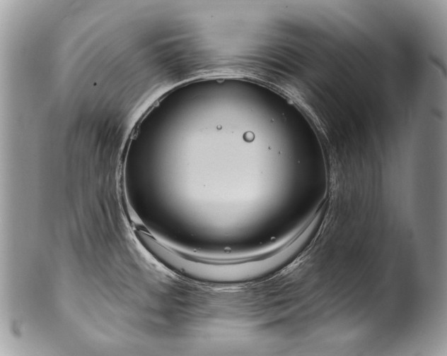 X0000100371484200806201616