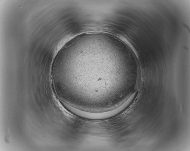 X0000100371485200806201616