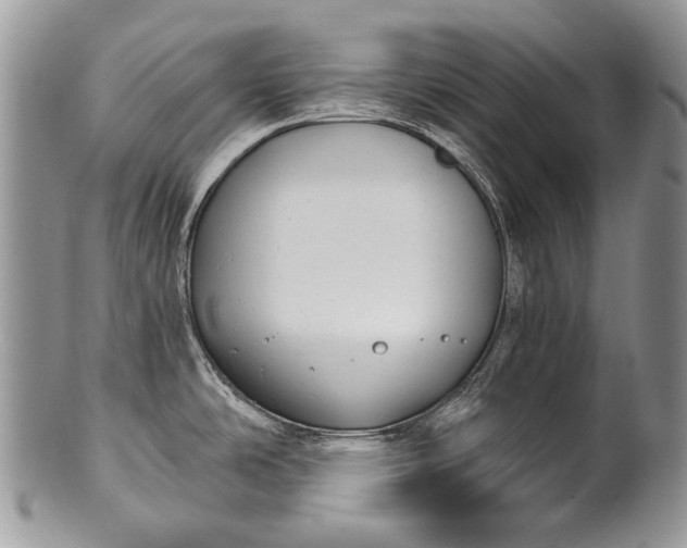 X0000100371486200806201616