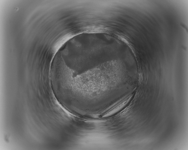 X0000100371487200806201616