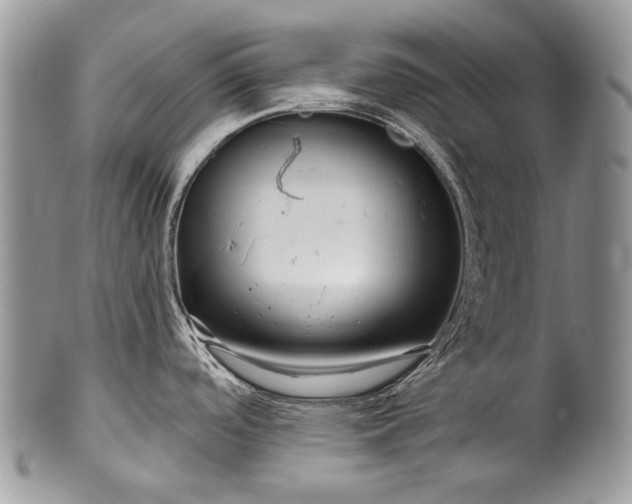 X0000100371488200806201616