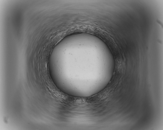 X0000100371489200806201615