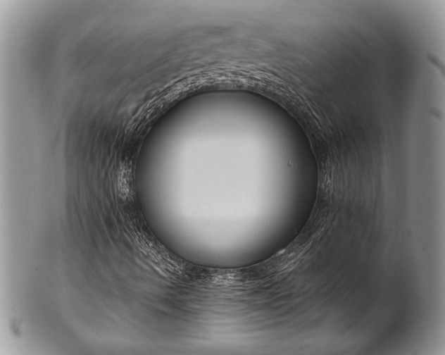 X0000100371490200806201615