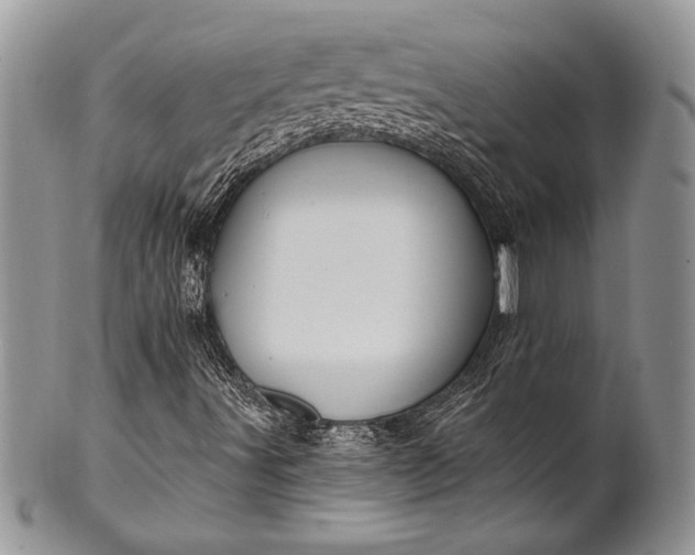 X0000100371491200806201615