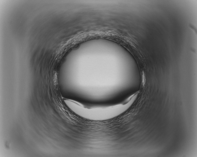 X0000100371492200806201615