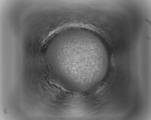 X0000100371494200806201615