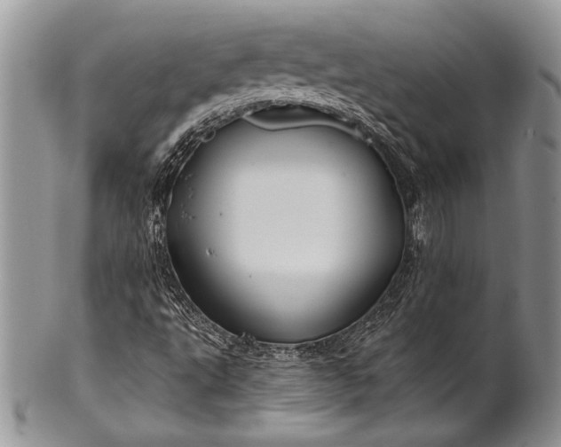 X0000100371495200806201615