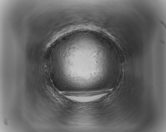 X0000100371496200806201615