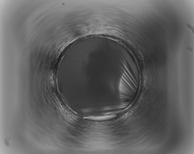 X0000100371497200806201615