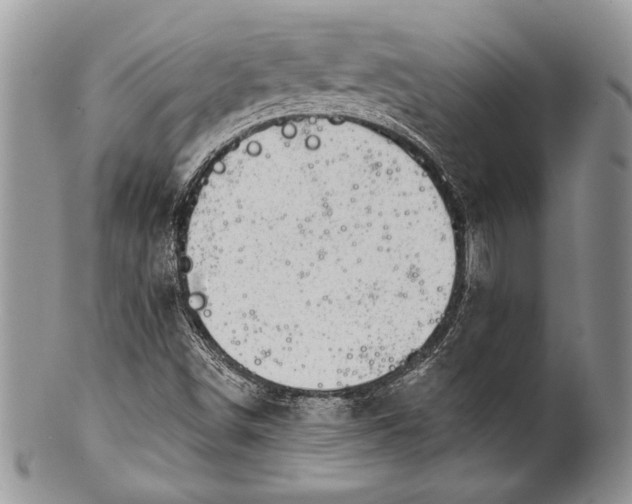 X0000100371498200806201615