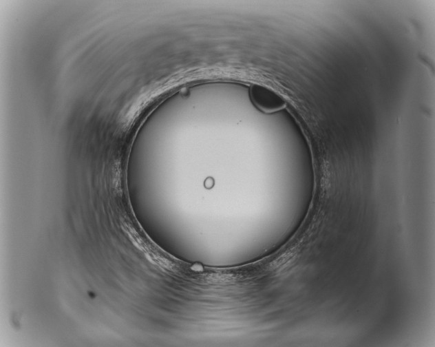 X0000100371499200806201615