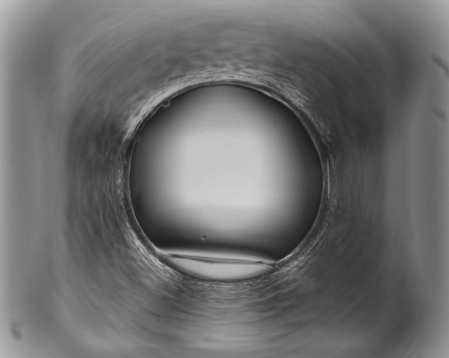 X0000100371500200806201615