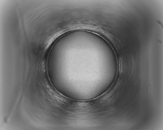 X0000100371501200806201615