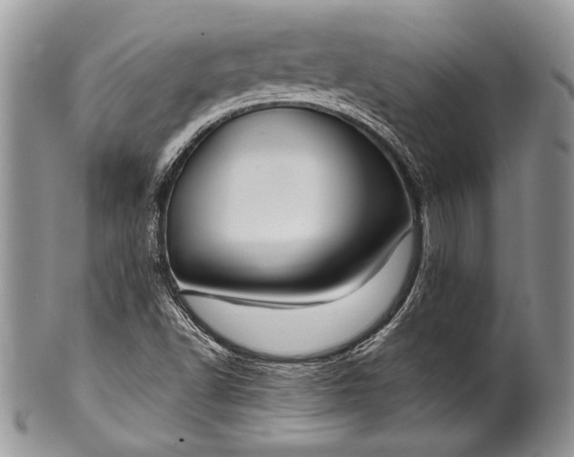 X0000100371502200806201615