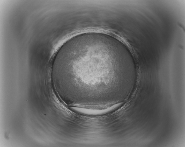 X0000100371504200806201615