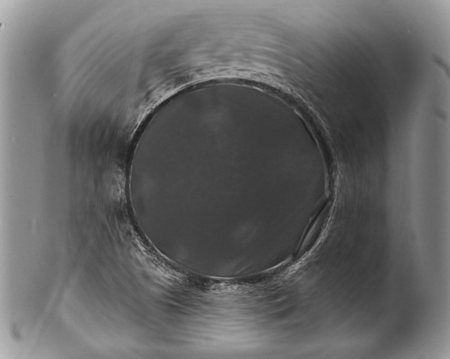 X0000100371505200806201615