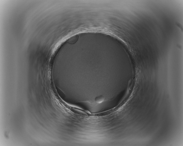 X0000100371506200806201615