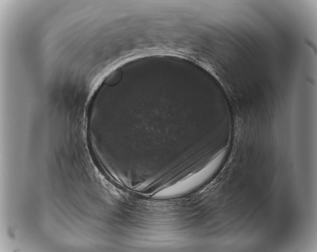 X0000100371508200806201615