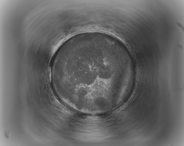 X0000100371509200806201615