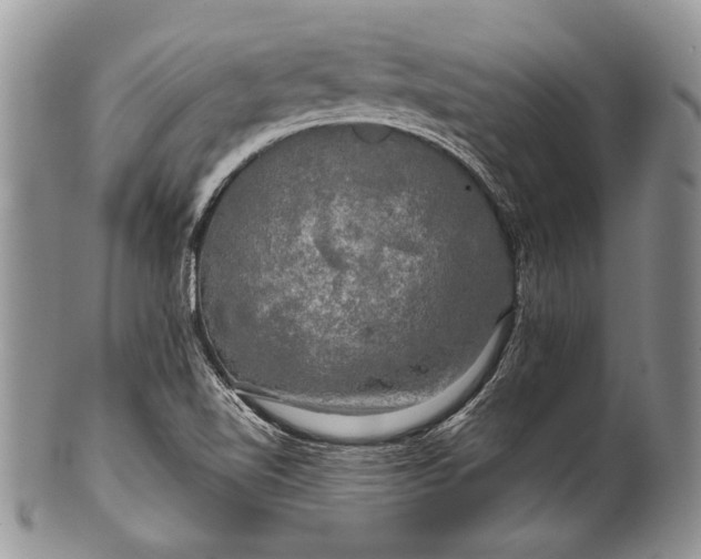 X0000100371510200806201615