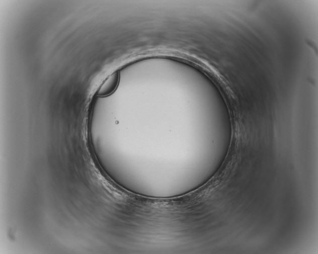 X0000100371512200806201615