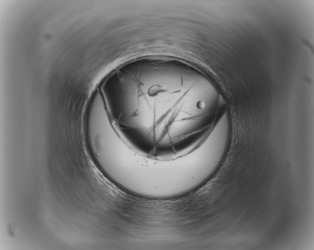 X0000100371514200806201616