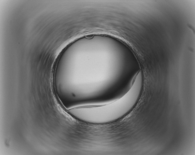 X0000100371518200806201616