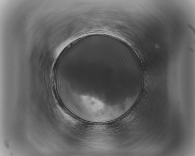 X0000100371519200806201616