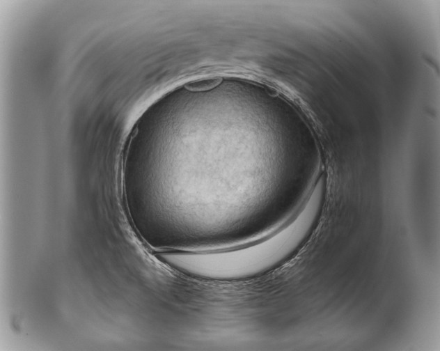 X0000100371520200806201616