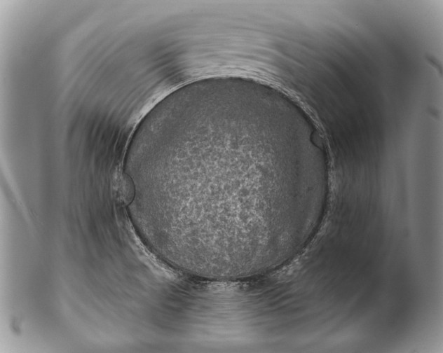 X0000100371521200806201616