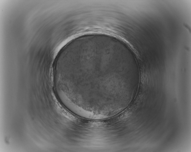 X0000100371522200806201616