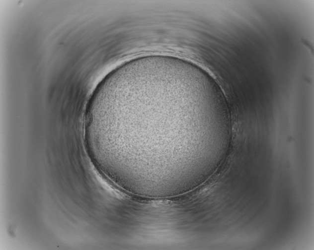 X0000100371523200806201616