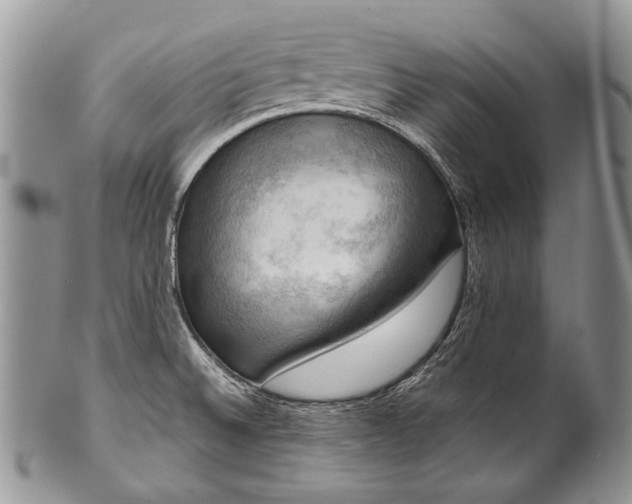 X0000100371524200806201616