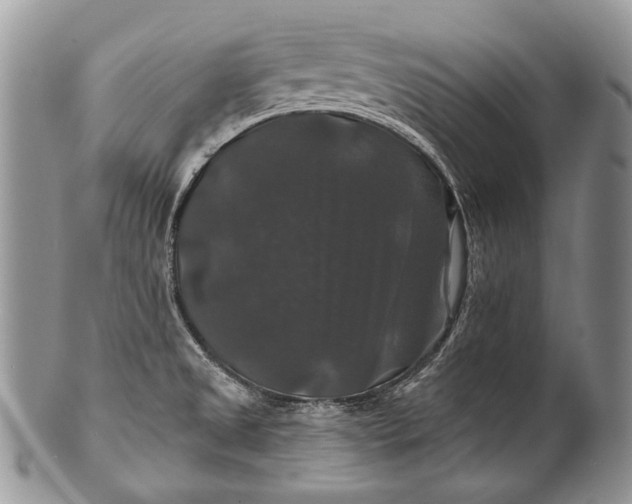 X0000100371525200806201616